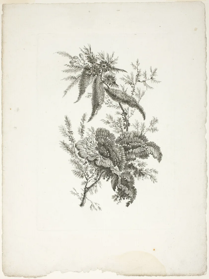 Bouquet, from Collection of New Flowers of Taste for the Manufacture of Persian Cloth, Invented and Drawn by Jean Pillement — تصویر رکورد مؤسسهٔ هنر شیکاگو (دسترسی آزاد)