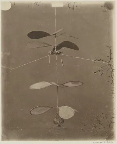 [Maquette d'hélicoptère à double mouvement d'horlogerie horizontal de Ponton d'Amécourt] : [photographie] / [Nadar] — تصویر رکورد یوروپیانا