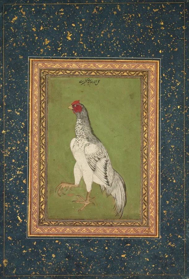 Rooster — تصویر رکورد موزهٔ هنر کلیولند (دسترسی آزاد)