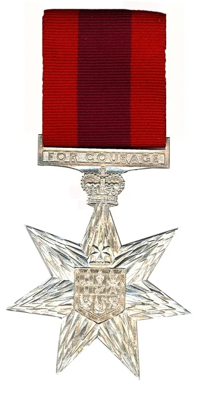 Star of Courage — عکس از ویکی‌انبار