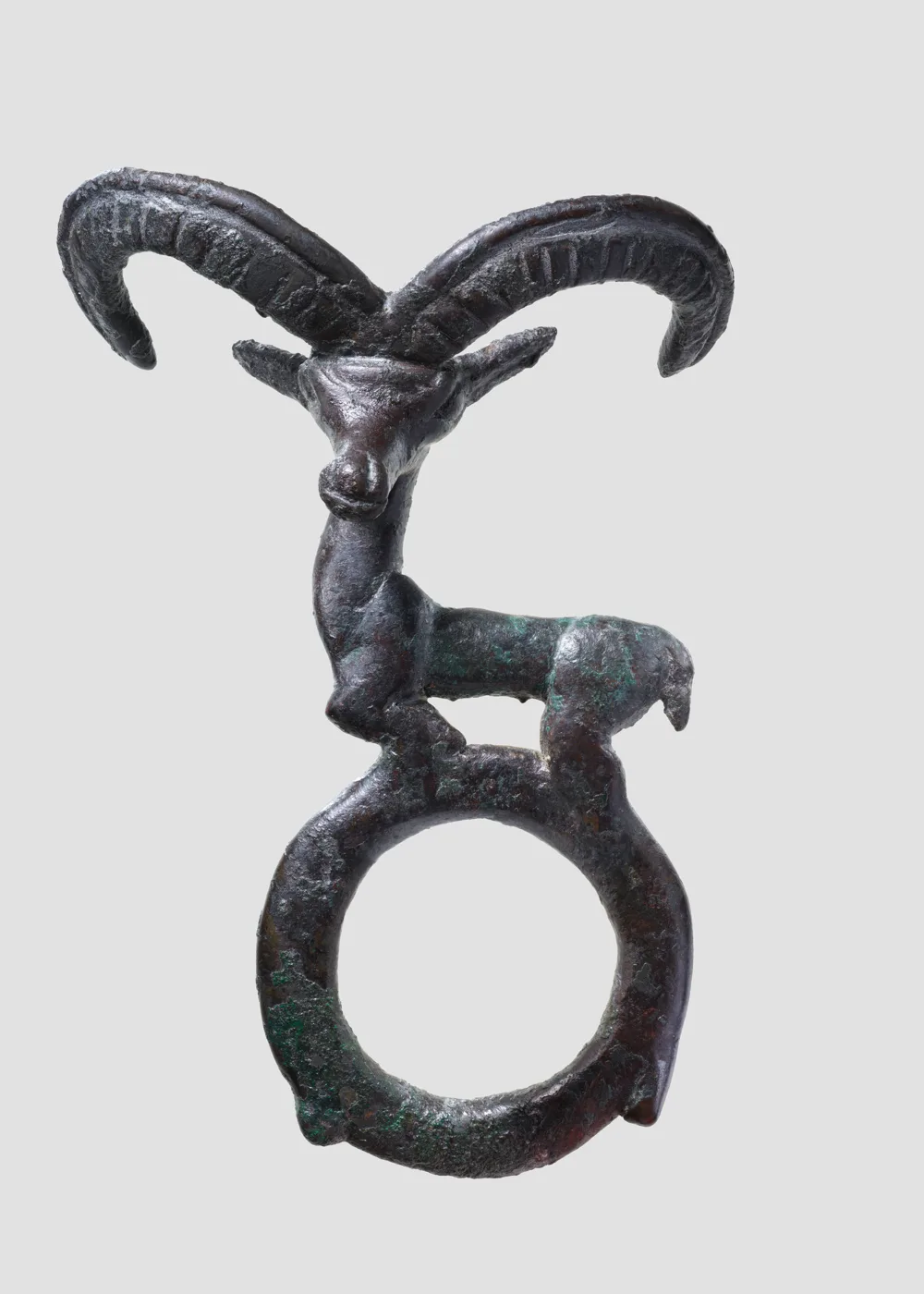 Harness ring — تصویر رکورد موزهٔ متروپولیتن (دسترسی آزاد)