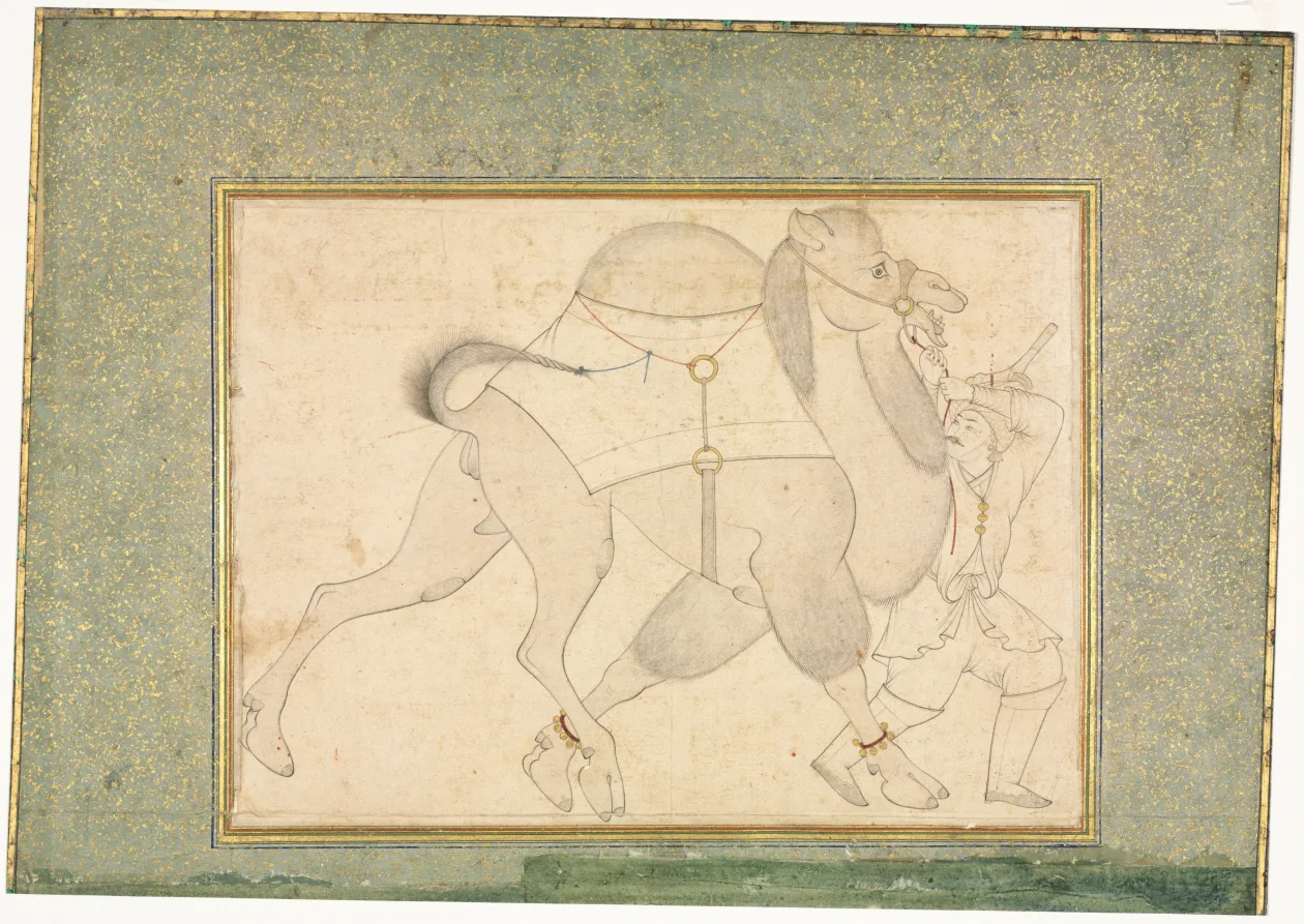 Camel and Groom; Single Page Illustration — تصویر رکورد موزهٔ هنر کلیولند (دسترسی آزاد)