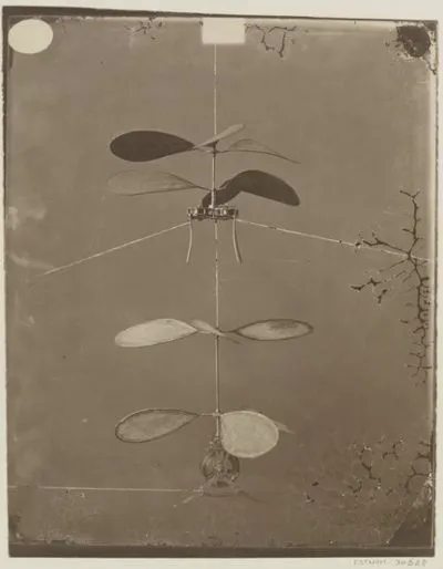[Maquette d'hélicoptère à double mouvement d'horlogerie horizontal de Ponton d'Amécourt] : [photographie] / [Nadar] — تصویر رکورد یوروپیانا