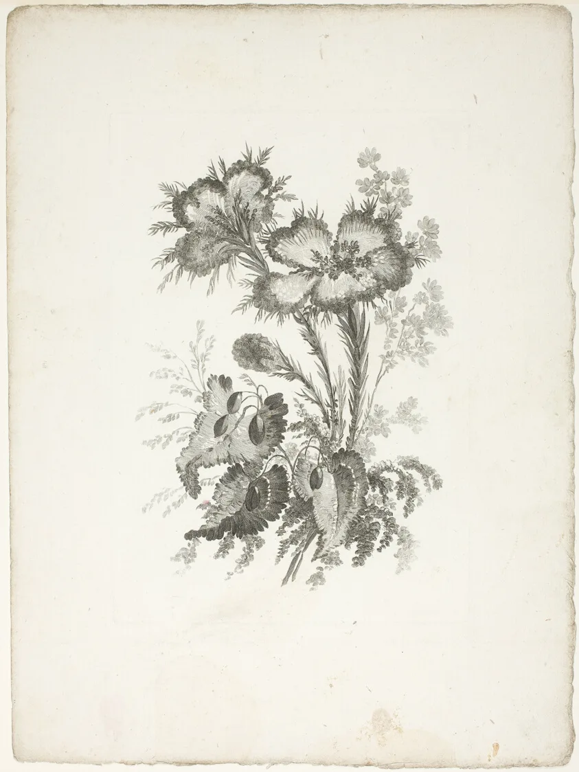 Bouquet, from Collection of New Flowers of Taste for the Manufacture of Persian Cloth, Invented and Drawn by Jean Pillement — تصویر رکورد مؤسسهٔ هنر شیکاگو (دسترسی آزاد)