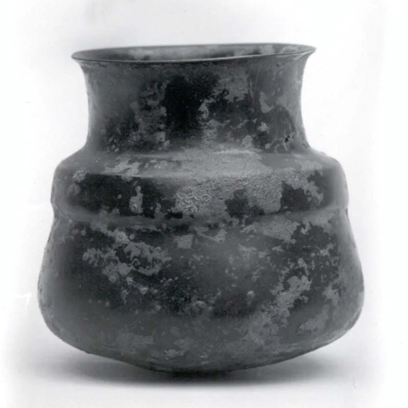 Jar — تصویر رکورد موزهٔ متروپولیتن (دسترسی آزاد)