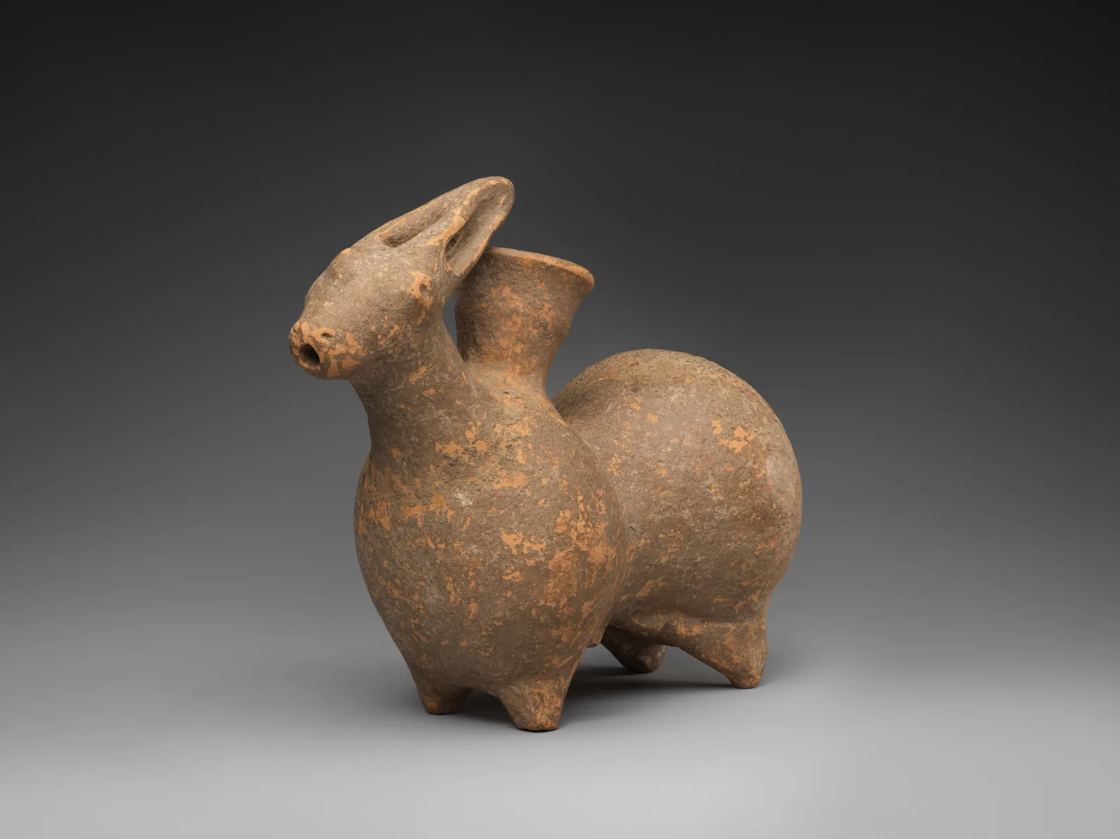 Rhyton in the shape of a rabbit — تصویر رکورد موزهٔ متروپولیتن (دسترسی آزاد)