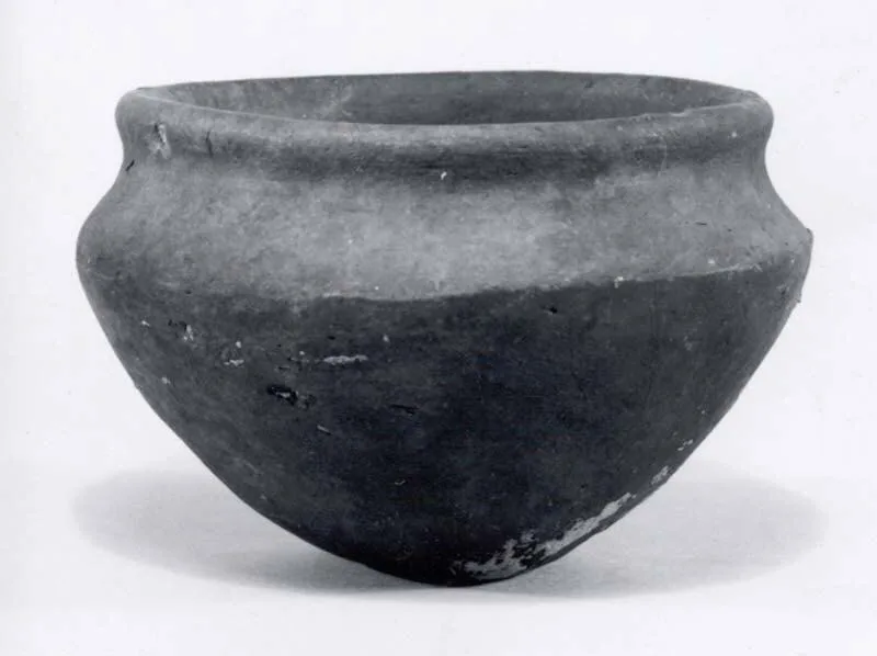 Bowl — تصویر رکورد موزهٔ متروپولیتن (دسترسی آزاد)