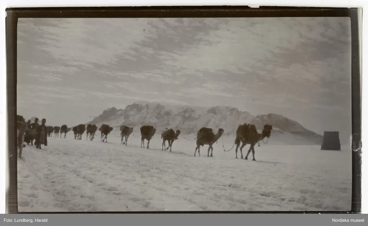 Persien. En kamelkaravan passerar ett snötäckt bergspass. — تصویر رکورد یوروپیانا