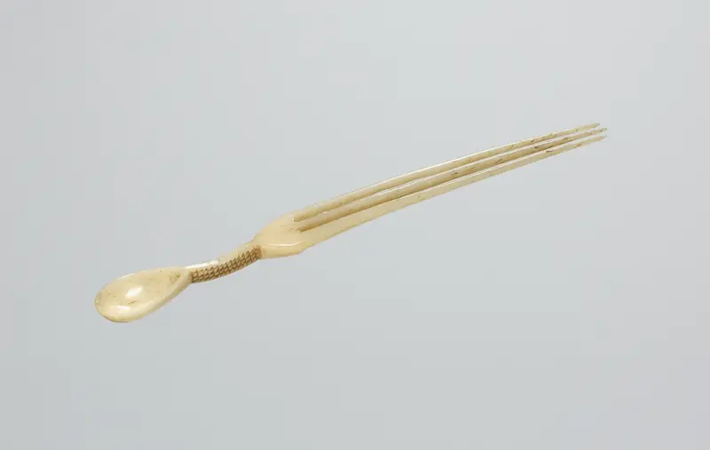 Snuff Spoon/Comb (intshengula or izintshengula) — تصویر رکورد موزهٔ هنر کلیولند (دسترسی آزاد)