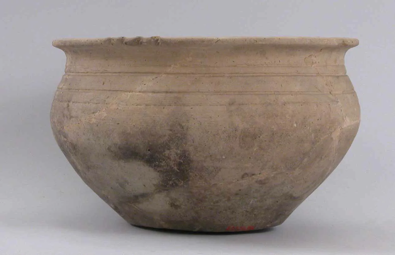Bowl — تصویر رکورد موزهٔ متروپولیتن (دسترسی آزاد)