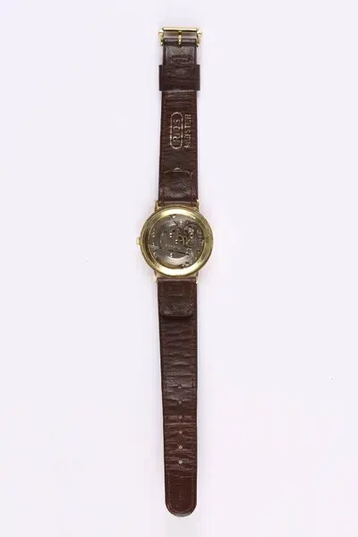 Armbanduhr, Arctos, Pforzheim, um 1970 — تصویر رکورد یوروپیانا