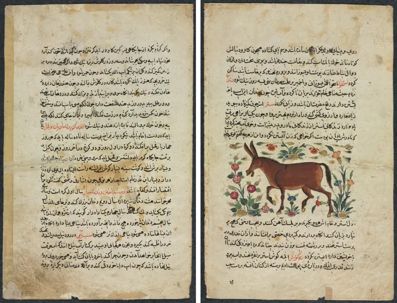 Text Page, Persian Prose (Recto); Khar (Ass) (Verso) — تصویر رکورد موزهٔ هنر کلیولند (دسترسی آزاد)