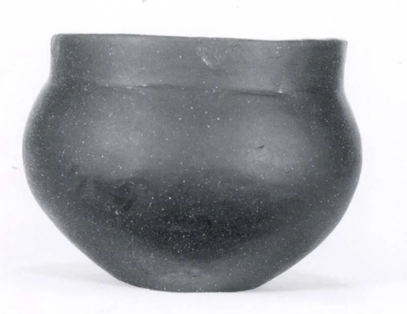 Pot — تصویر رکورد موزهٔ متروپولیتن (دسترسی آزاد)