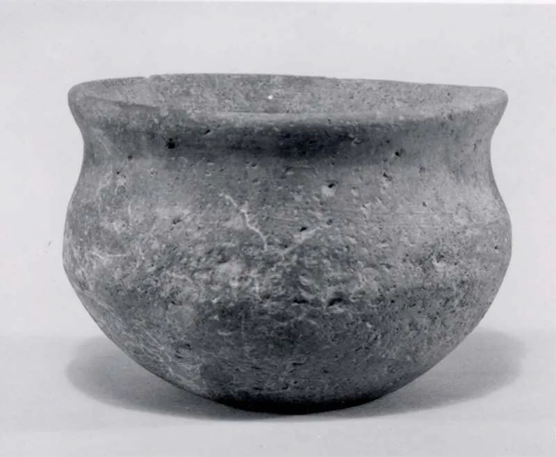 Bowl — تصویر رکورد موزهٔ متروپولیتن (دسترسی آزاد)