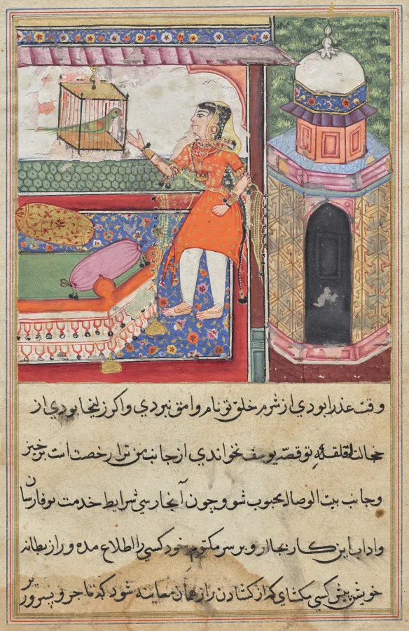 The Parrot Addresses Khujasta at the Beginning of the Tenth Night, from a Tuti-nama (Tales of a Parrot) — تصویر رکورد موزهٔ هنر کلیولند (دسترسی آزاد)