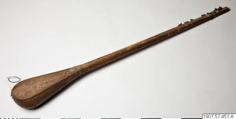 string instrument, musical instrument, satar, instrument — تصویر رکورد یوروپیانا