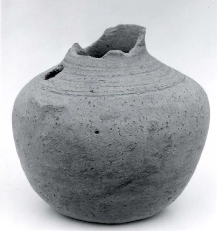 Jug — تصویر رکورد موزهٔ متروپولیتن (دسترسی آزاد)