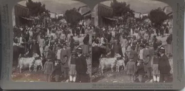 Sparta on a market-day, Greece — تصویر رکورد یوروپیانا