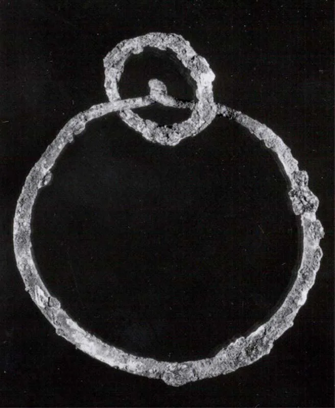 Earring — تصویر رکورد موزهٔ متروپولیتن (دسترسی آزاد)