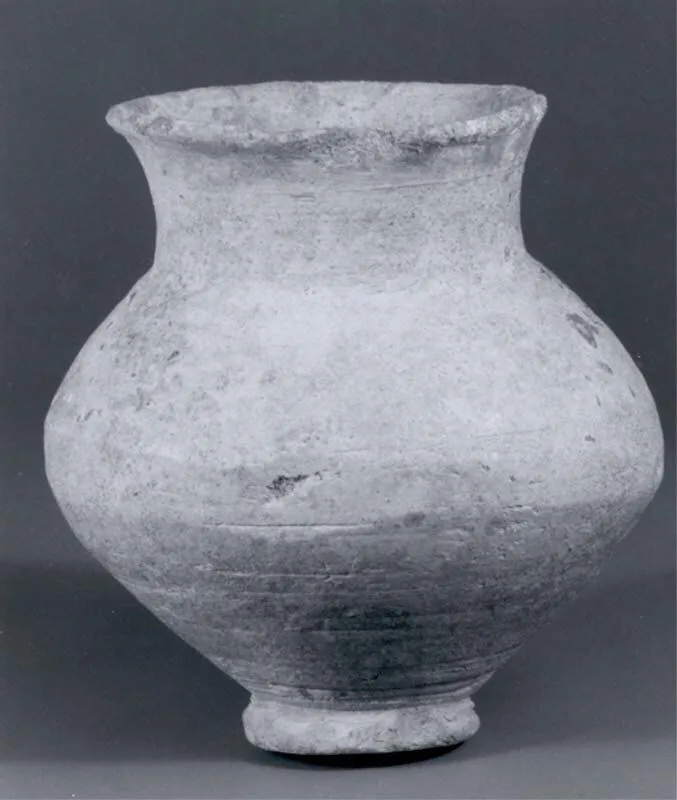 Jar — تصویر رکورد موزهٔ متروپولیتن (دسترسی آزاد)