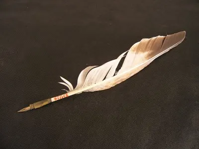 Writing quill — تصویر رکورد یوروپیانا