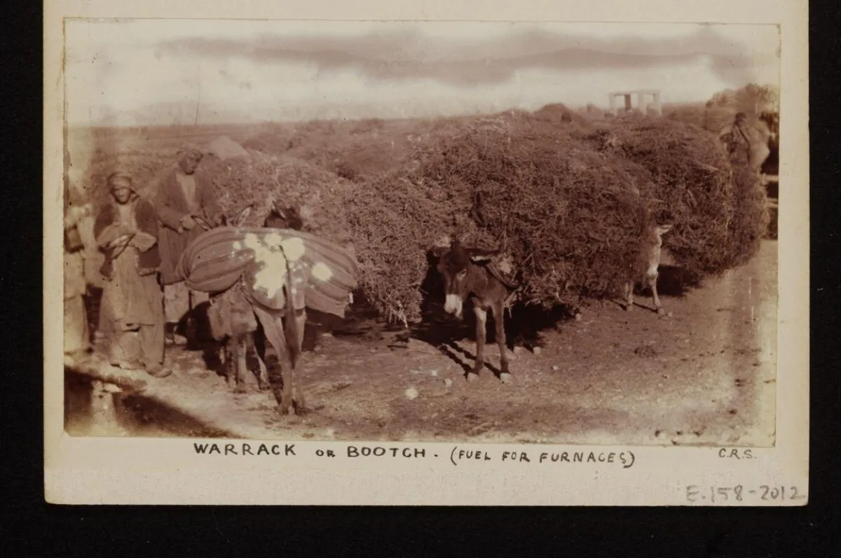 C. R. Smith Archive — تصویر رکورد موزهٔ ویکتوریا و آلبرت