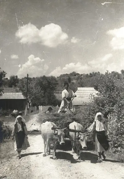 Car cu fân din Bâlta, Runcu, Gorj, 1930 — تصویر رکورد یوروپیانا