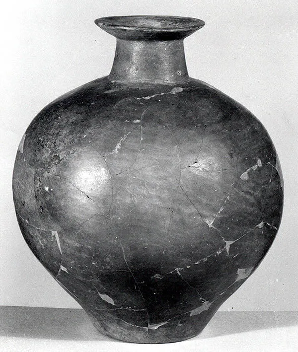 Ovoid jar — تصویر رکورد موزهٔ متروپولیتن (دسترسی آزاد)