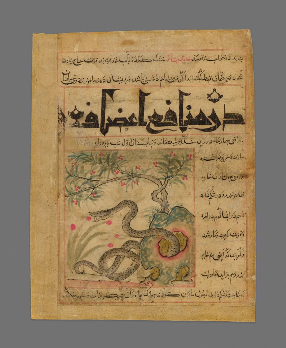 Viper in a Rocky Garden from Manafi' al-Hayawan (On the Usefulness of Animals) of Ibn Bakhtishu' — تصویر رکورد مؤسسهٔ هنر شیکاگو (دسترسی آزاد)
