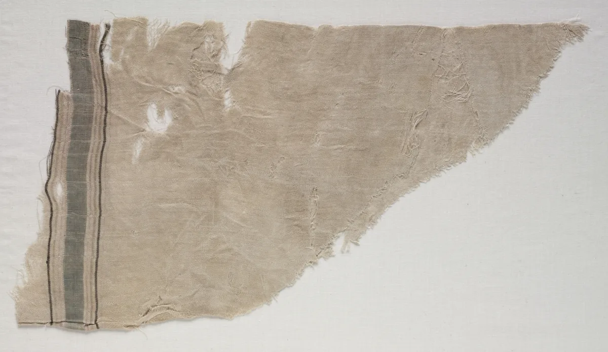 Fragment from a Garment: Sleeve — تصویر رکورد موزهٔ هنر کلیولند (دسترسی آزاد)