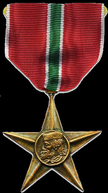 Garibaldi Medal — تصویر رکورد ویکی‌داده