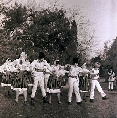 Sequences from the Village Museum. Dances from Hunedoara area: folkloric ensemble from Ferigi village, com. Cerbal, jud. Hunedoara (1983) — تصویر رکورد یوروپیانا