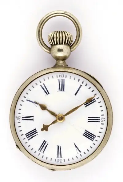 Taschenuhr "La Proletaire", Georges Fréderic Roskopf, La Chaux-de-Fonds, um 1870 — تصویر رکورد یوروپیانا