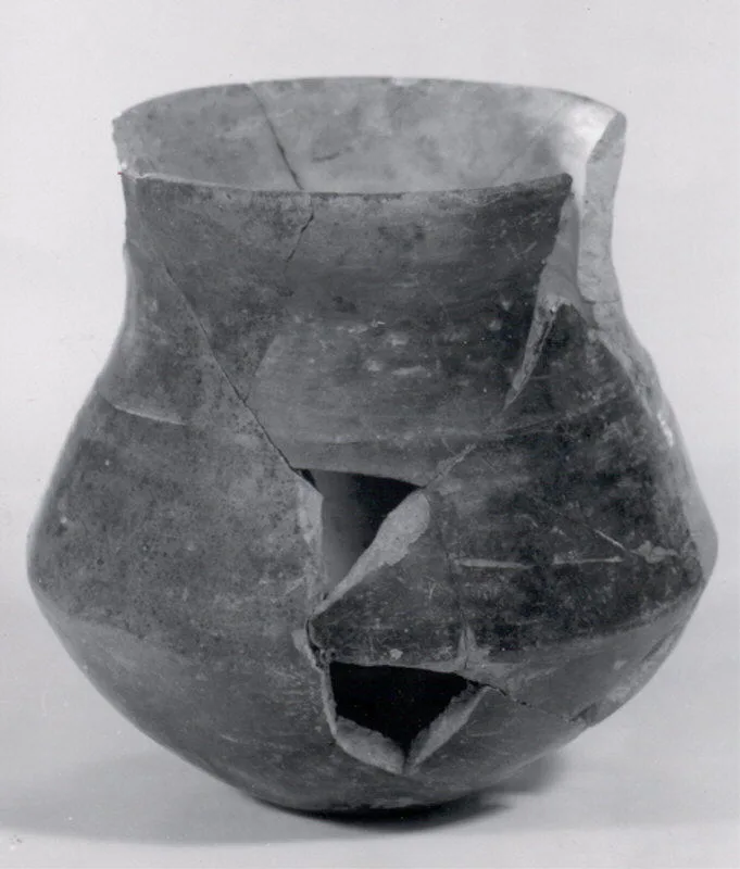 Jar — تصویر رکورد موزهٔ متروپولیتن (دسترسی آزاد)