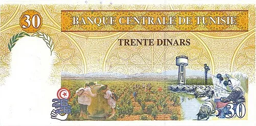 پشت اسکناس — 30 dinars تونس