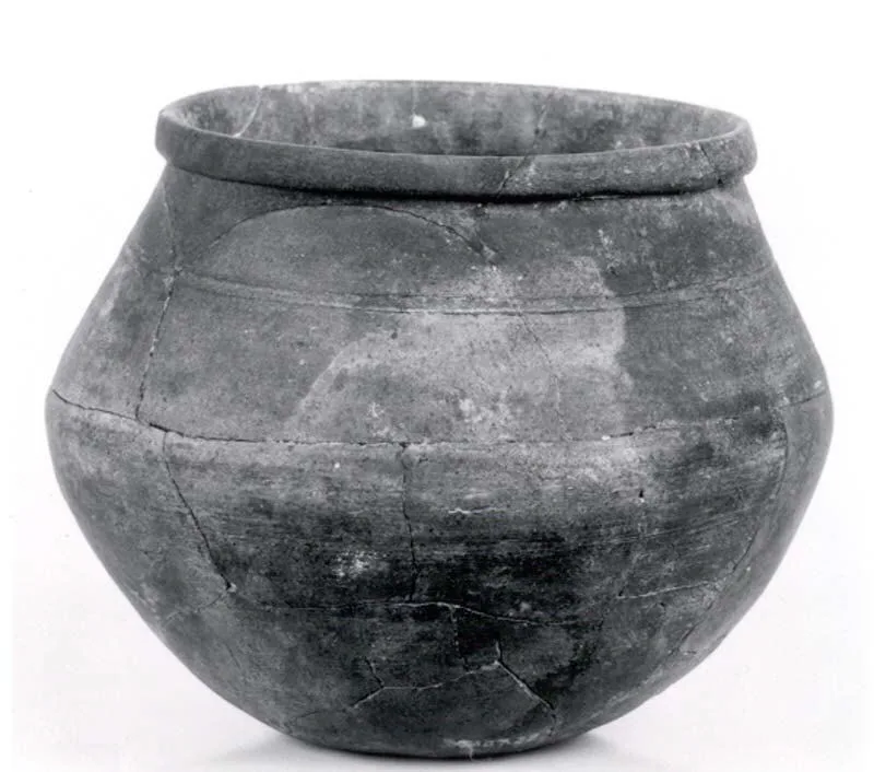 Cooking pot — تصویر رکورد موزهٔ متروپولیتن (دسترسی آزاد)