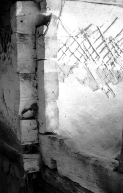 Wrist detail, Mecea village, com. Snow, County. The Veil (1968) — تصویر رکورد یوروپیانا