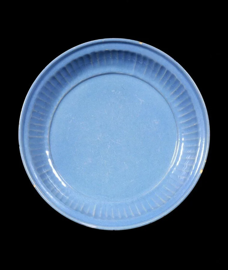 Dish — تصویر رکورد موزهٔ ویکتوریا و آلبرت