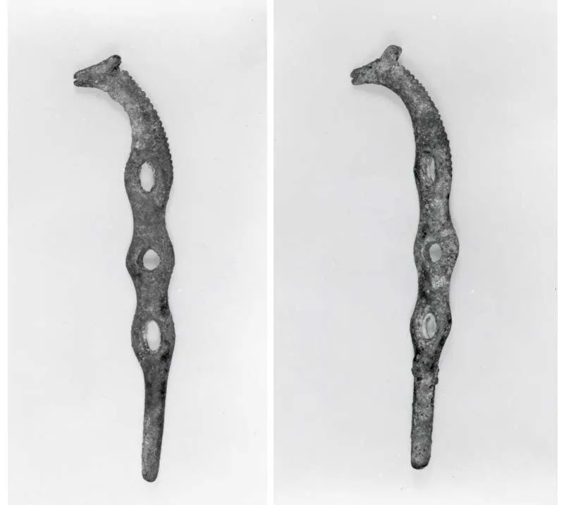 Horse bit cheekpieces in form of a horse's head — تصویر رکورد موزهٔ متروپولیتن (دسترسی آزاد)