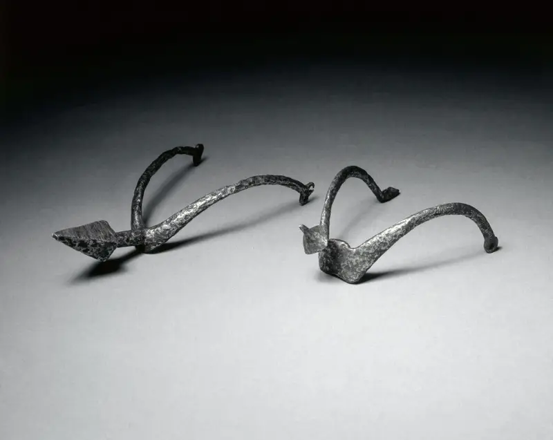 Pricked Spur — تصویر رکورد موزهٔ هنر کلیولند (دسترسی آزاد)