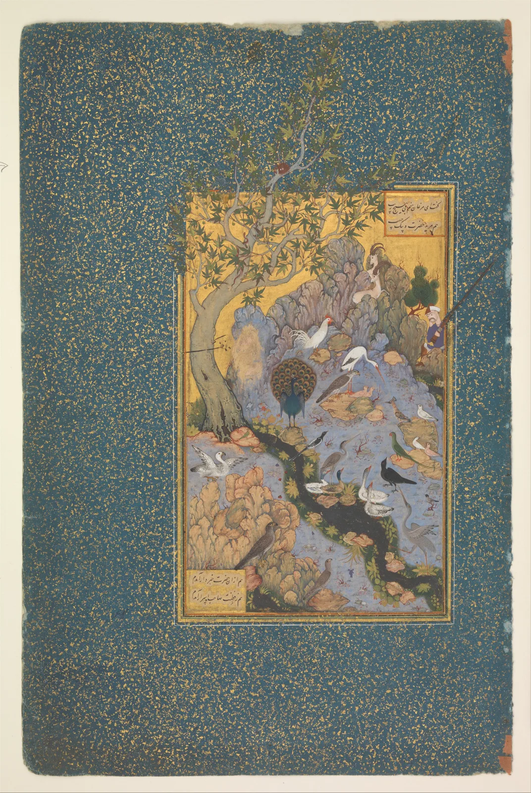 "The Concourse of the Birds", Folio 11r from a Mantiq al-Tayr (Language of the Birds) — تصویر رکورد موزهٔ متروپولیتن (دسترسی آزاد)