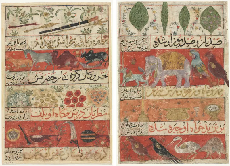 Animals, Precious Stones, Coins, and Musical Instruments (recto); Animals, Birds, and Plants (verso) from a Mu'nis al-Ahrar fi Daqa'iq al-Ash'ar (The Free Men's Companion to the Subtleties of Poems) of Muhammad Ibn Badr al-Din Jajarmi (active 1340s) — تصویر رکورد موزهٔ هنر کلیولند (دسترسی آزاد)