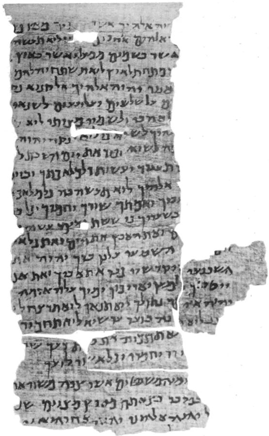 Nash Papyrus — تصویر رکورد ویکیداده