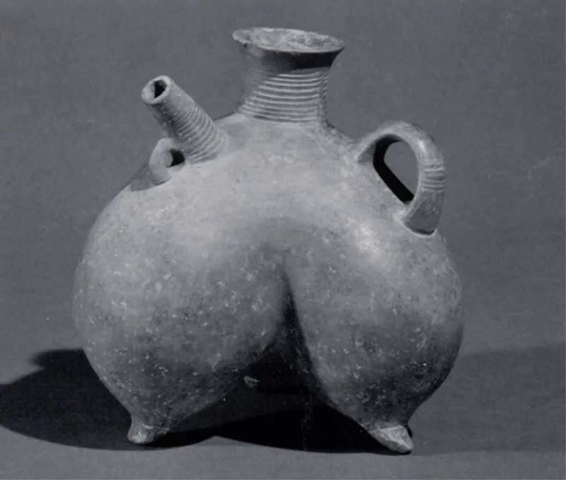 Pitcher — تصویر رکورد موزهٔ متروپولیتن (دسترسی آزاد)