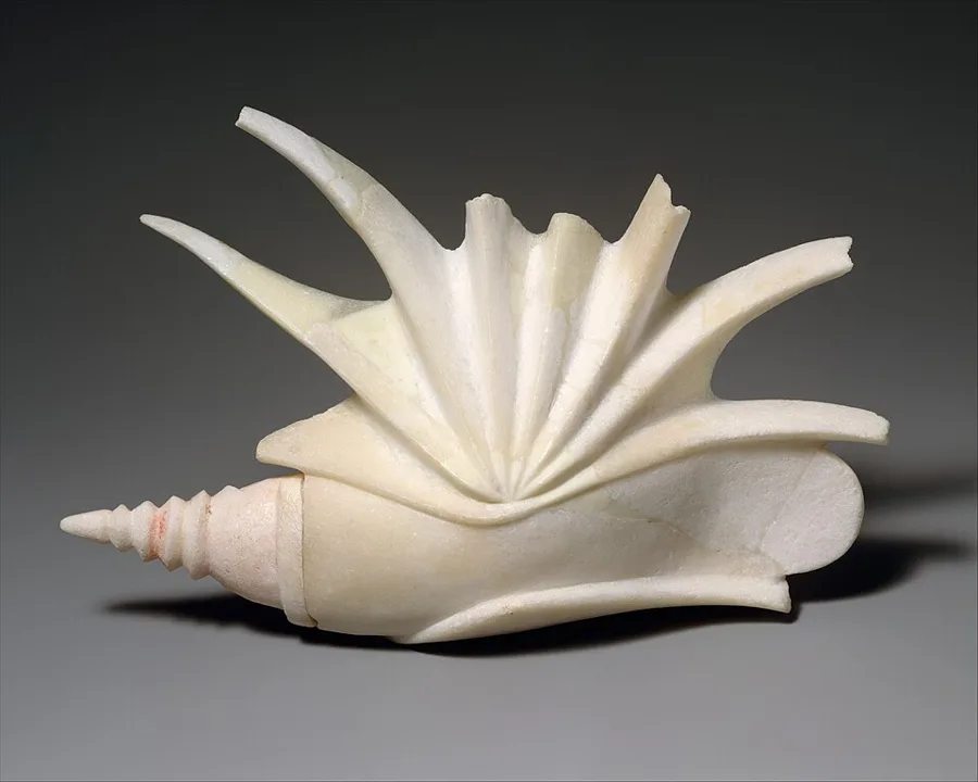Marble shell — تصویر رکورد ویکی‌داده