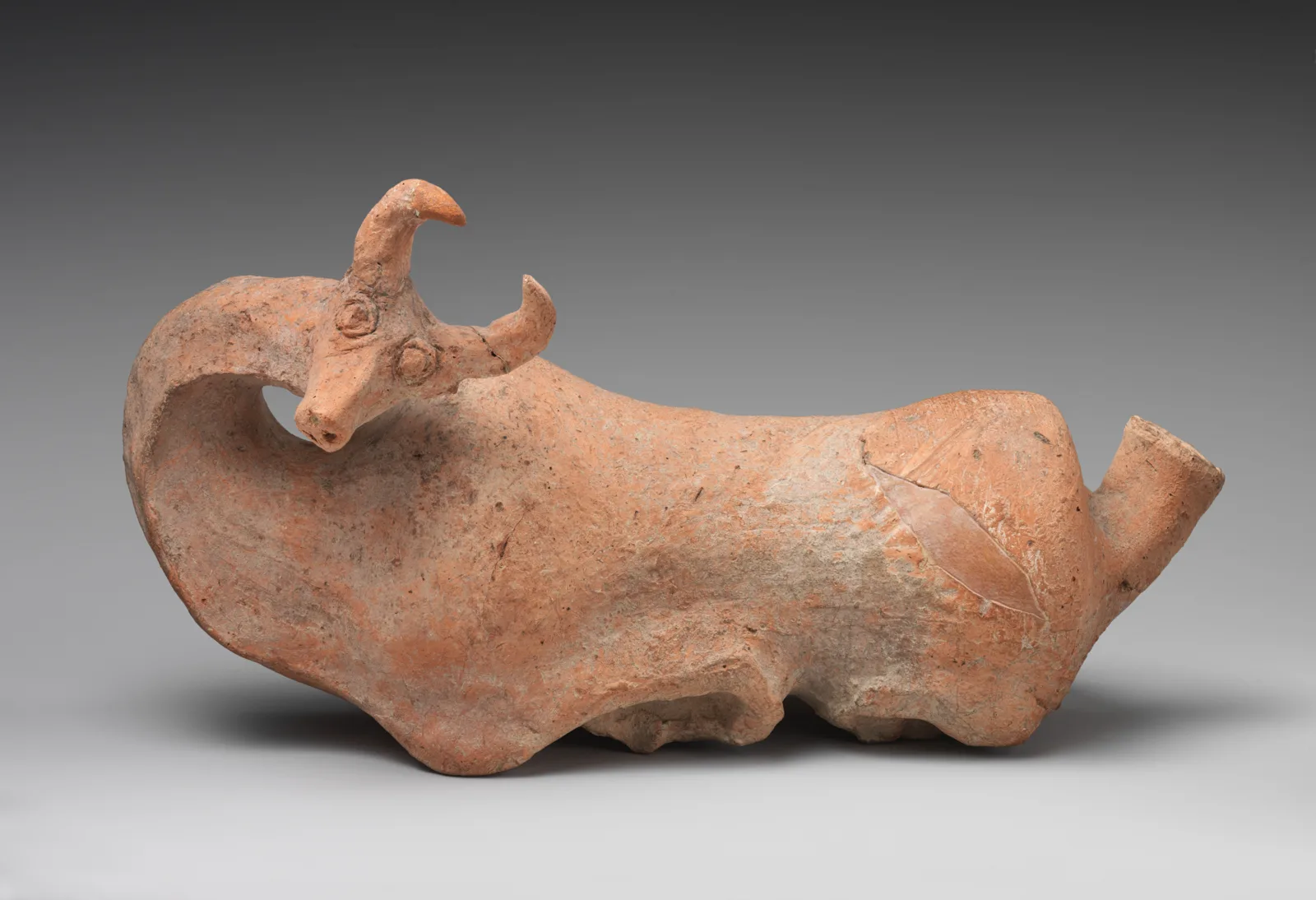Jug in the form of a recumbent bull — تصویر رکورد موزهٔ متروپولیتن (دسترسی آزاد)