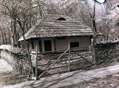 Secvențe din Muzeul Satului. Mastacăn - casă și împrejmuire. (1980) — تصویر رکورد یوروپیانا