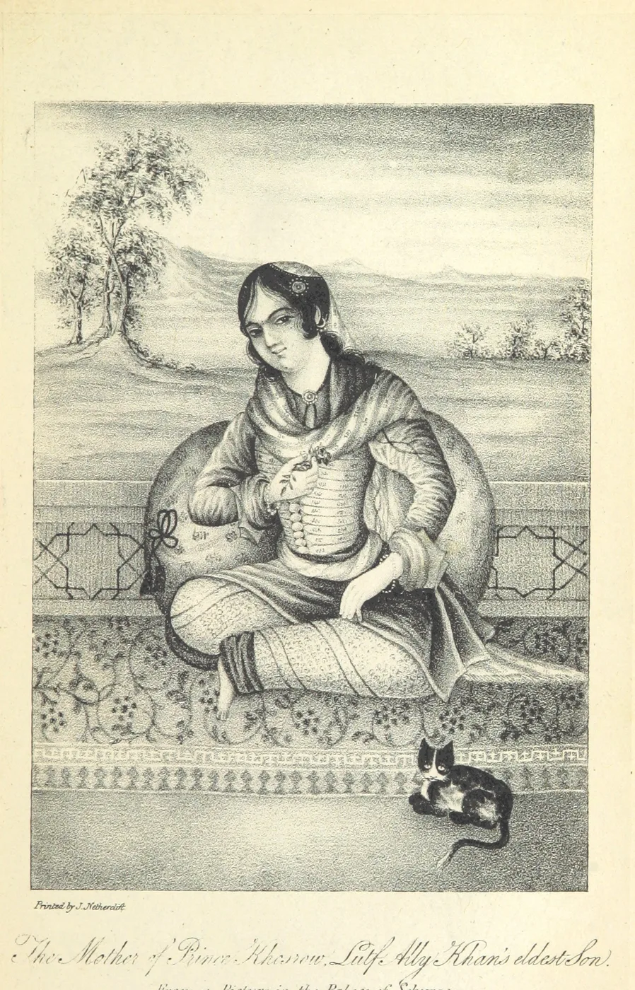 kitten from "An Account of the Transactions of His Majesty's Mission to the Court of Persia, in the years 1807-11 ... To which is appended a brief history of the Wahauby. [With plates, including portr — تصویر رکورد یوروپیانا