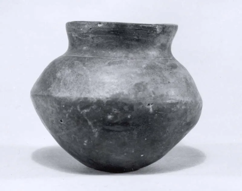 Miniature jar — تصویر رکورد موزهٔ متروپولیتن (دسترسی آزاد)