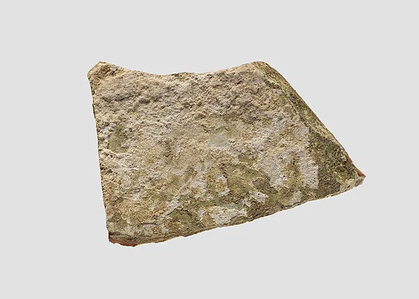 Plaque — تصویر رکورد موزهٔ متروپولیتن (دسترسی آزاد)